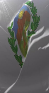 San Luis Eyaleti Bayrağı, Arjantin. Döngü. 4K Dikey