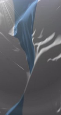 Tucuman Eyaleti Bayrağı, Arjantin. Döngü. 4K Dikey