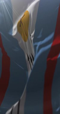 Corrientes Şehir Bayrağı, Arjantin. Döngü. 4K Dikey