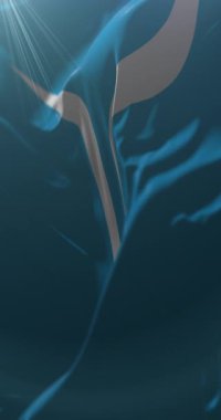 Neuquen Şehri Bayrağı, Arjantin. Döngü. 4K Dikey