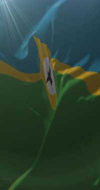 San Luis Şehir Bayrağı, Arjantin. Döngü. 4K Dikey