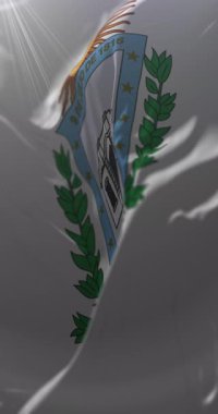 San Miguel de Tucuman City, Arjantin bayrağı. Döngü. 4K Dikey