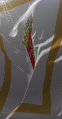 Santiago del Estero şehir bayrağı, Arjantin. Döngü. 4K Dikey