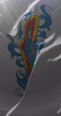 Talca bayrağı, Maule bölgesi, Şili. Döngü. 4K Dikey