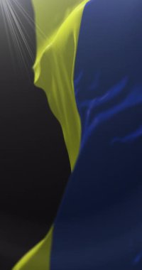 Cerro Navia bayrağı, Santiago Büyükşehir Bölgesi, Şili. Döngü. 4K Dikey