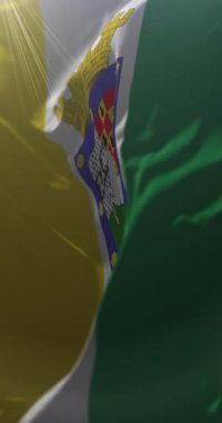 La Pintana bayrağı, Santiago Büyükşehir Bölgesi, Şili. Döngü. 4K Dikey