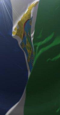 Pealolen bayrağı, Santiago Büyükşehir Bölgesi, Şili. Döngü. 4K Dikey