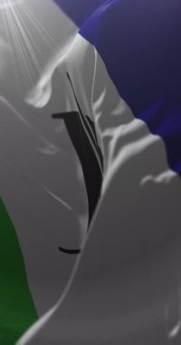 Puerto Montt Bayrağı, Şili. Döngü. 4K Dikey