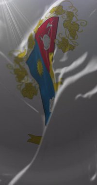 Quilpu bayrağı, Valparaiso, Şili. Döngü. 4K Dikey