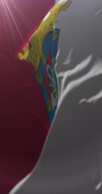 Renca bayrağı, Santiago Büyükşehir Bölgesi, Şili. Döngü. 4K Dikey