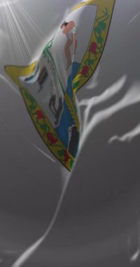 Temuco Bayrağı, Araucana Bölgesi, Şili. Döngü. 4K Dikey