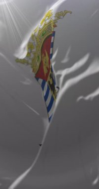 Biyoloji Bölgesi Bayrağı, Şili. Döngü. 4K Dikey