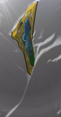 Aysen Bölgesi Bayrağı, Şili. Döngü. 4K Dikey