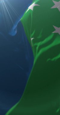 Los Lagos Bölge Bayrağı, Şili. Döngü. 4K Dikey