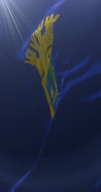 Valparaiso Bölgesi Bayrağı, Şili. Döngü. 4K Dikey