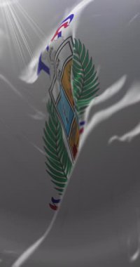 Tarapaca Bayrağı, Şili. Döngü. 4K Dikey