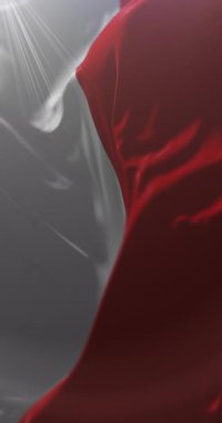 Tarija bayrağı, Bolivya, Loop. 4K Dikey