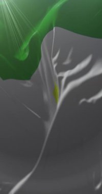 Marban, Beni, Bolivya bayrağı. 4K dikey. Döngü