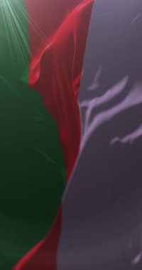 Vaca Dez Eyaleti Bayrağı, Bolivya. Döngü. 4K Dikey