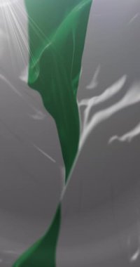 Bolivya 'nın Warnes kasabası bayrağı. Döngü. 4K Dikey