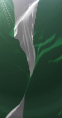 Santa Cruz Departmanı Bayrağı, Bolivya. Döngü. 4K Dikey