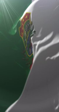 Pando Departmanı Bayrağı, Bolivya. Döngü. 4K Dikey