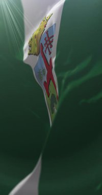 Santa Cruz de la Sierra şehri, Bolivya bayrağı. 4K dikey. Döngü