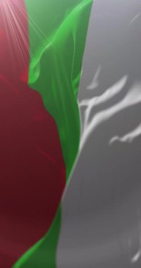 Manizales Şehir Bayrağı, Caldas, Kolombiya. Döngü. 4K Dikey