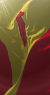 Pereira Başkent Bayrağı, Risaralda, Kolombiya. Döngü. 4K Dikey