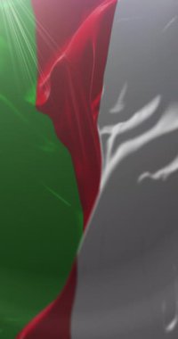 Sincelejo Şehir Bayrağı, Sucre, Kolombiya. Döngü. 4K Dikey