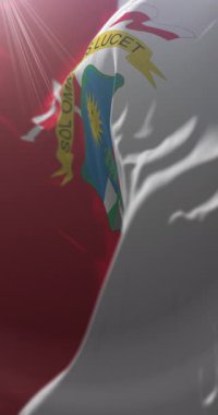 Soacha bayrağı, Cundinamarca Departmanı, Kolombiya. Döngü. 4K Dikey