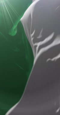 Antioquia Departmanı Bayrağı, Kolombiya. Döngü. 4K Dikey