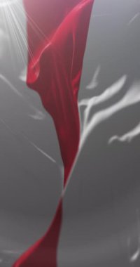 Atlantico Departmanı Bayrağı, Kolombiya. Döngü. 4K Dikey