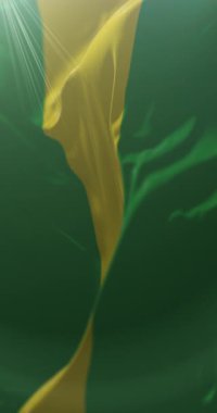 Valle del Cauca Departmanı Bayrağı, Kolombiya. Döngü. 4K Dikey