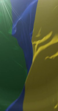 Guainia Departmanı Bayrağı, Kolombiya. Döngü. 4K Dikey