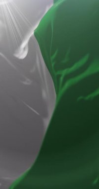 La Guajira Departmanı Bayrağı, Kolombiya. Döngü. 4K Dikey