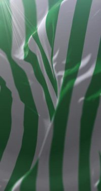 Meta Departmanı Bayrağı, Kolombiya. Döngü. 4K Dikey