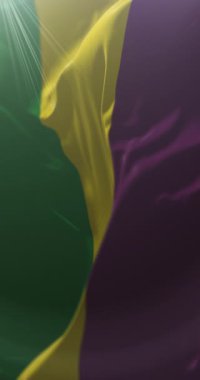 Quindio Departmanı Bayrağı, Kolombiya. Döngü. 4K Dikey