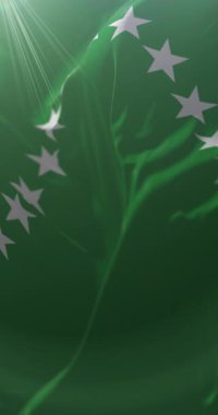 Risaralda Departmanı Bayrağı, Kolombiya. Döngü. 4K Dikey