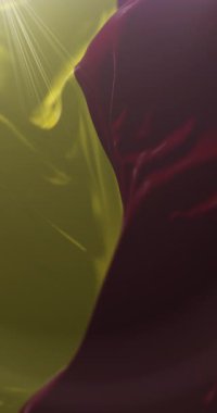 Tolima Departmanı Bayrağı, Kolombiya. Döngü. 4K Dikey