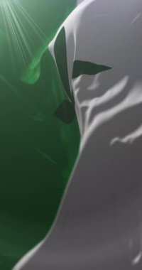 Vaupes Departmanı Bayrağı, Kolombiya. Döngü. 4K Dikey