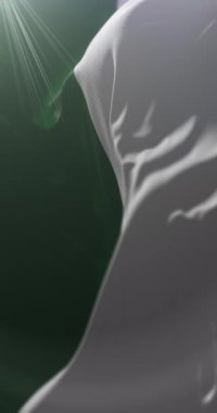 San Andres de Tumaco bayrağı, Nario Departmanı, Kolombiya. Döngü. 4K Dikey