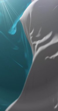 Santa Marta Şehir Bayrağı, Magdalena, Kolombiya. Döngü. 4K Dikey