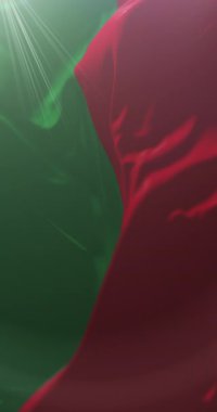 Bolivar Eyaleti Bayrağı, Ekvador. Döngü. 4K Dikey