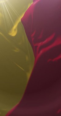 Azuay Eyaleti Bayrağı, Ekvador. Döngü. 4K Dikey