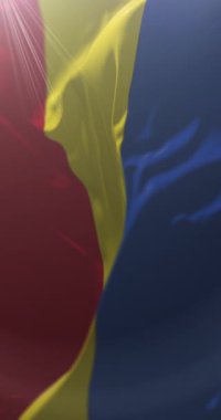 Caar Eyaleti Bayrağı, Ekvador. Döngü. 4K Dikey