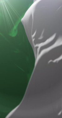 Esmeraldas Eyaleti Bayrağı, Ekvador. Döngü. 4K Dikey