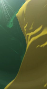 Morona Santiago Eyaleti Bayrağı, Ekvador. Döngü. 4K Dikey