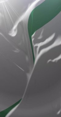 Quevedo bayrağı, Los Rios, Ekvador. Döngü. 4K Dikey