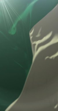 Huanuco Eyaleti Bayrağı, Peru. Döngü. 4K Dikey